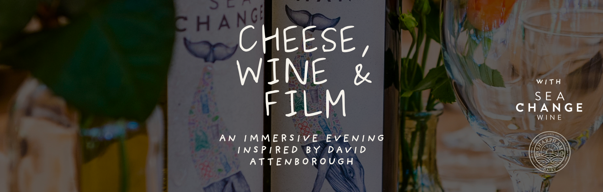 Cheese, Wine & Film — An Immersive Evening