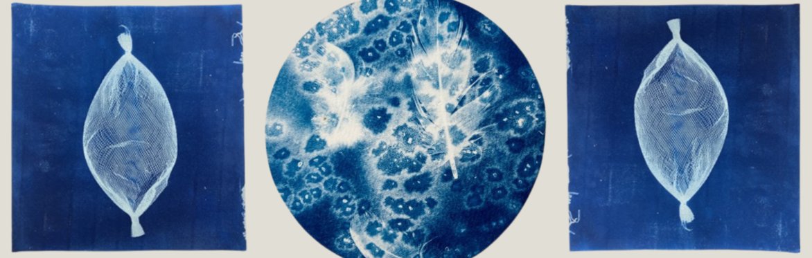 Cyanotype Printing Workshop